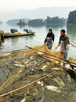 大足:因改善水质养鱼 竟获水产品丰收